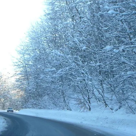 Veria Suite فيريا