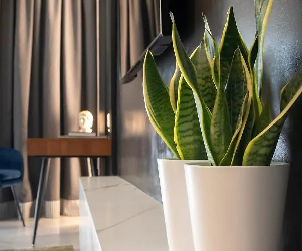 Veria Suite 公寓 *