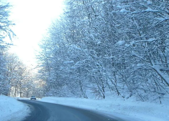 Veria Suite 韦里亚